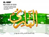 /album/%d9%85%d8%b9%d8%b1%d8%b6%20%d8%a7%d9%84%d8%b5%d9%88%d8%b1/a12albari-jpg/