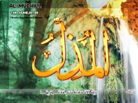 /album/%d9%85%d8%b9%d8%b1%d8%b6%20%d8%a7%d9%84%d8%b5%d9%88%d8%b1/a25almozil-jpg/