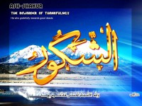 /album/%d9%85%d8%b9%d8%b1%d8%b6%20%d8%a7%d9%84%d8%b5%d9%88%d8%b1/a35alshakor-jpg/