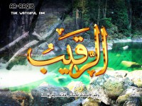 /album/%d9%85%d8%b9%d8%b1%d8%b6%20%d8%a7%d9%84%d8%b5%d9%88%d8%b1/a43arraqeeb-jpg/