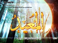 /album/%d9%85%d8%b9%d8%b1%d8%b6%20%d8%a7%d9%84%d8%b5%d9%88%d8%b1/a59almoed-jpg/