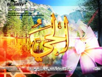 /album/%d9%85%d8%b9%d8%b1%d8%b6%20%d8%a7%d9%84%d8%b5%d9%88%d8%b1/a62alhai-jpg/