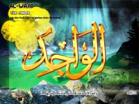 /album/%d9%85%d8%b9%d8%b1%d8%b6%20%d8%a7%d9%84%d8%b5%d9%88%d8%b1/a64alwajid-jpg/