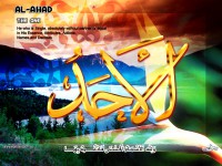 /album/%d9%85%d8%b9%d8%b1%d8%b6%20%d8%a7%d9%84%d8%b5%d9%88%d8%b1/a67alahad-jpg/