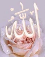 /album/%d9%85%d8%b9%d8%b1%d8%b6%20%d8%a7%d9%84%d8%b5%d9%88%d8%b1/allah-fleur-jpg/